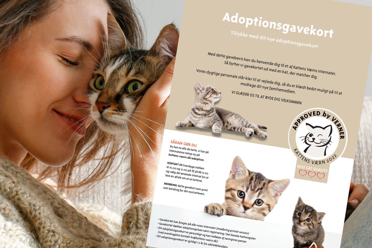 maling opdragelse Frugtgrøntsager Adoptionsgavekort - Gavekort - Kattens Værns Webshop