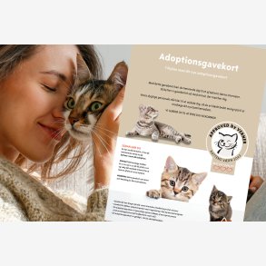 Adoptionsgavekort