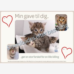 GIV EN GLAD SOMMER TIL EN KILLING