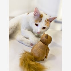 My Kitty by Andersen - Medium