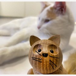 My Kitty by Andersen - Large