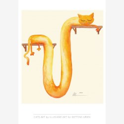 Orange - CATS by ILLUSIANE ART