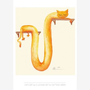 Orange - CATS by ILLUSIANE ART