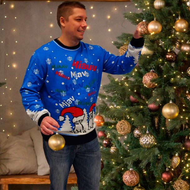 DEN GTE KATTENS VRN JULESWEATER