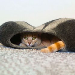 BETTERFELT KATTEHULE