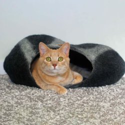 BETTERFELT KATTEHULE