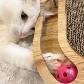 OVAL KRADSEPLADE med BOLDE